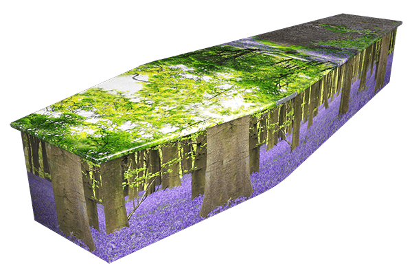 GINDER_bluebell_coffin01